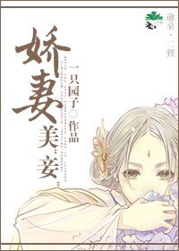 娇妻美“妾”